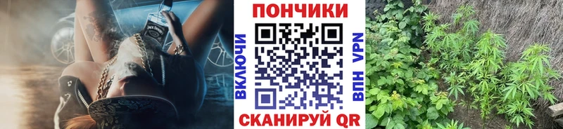 цены   Бирск  Каннабис OG Kush 